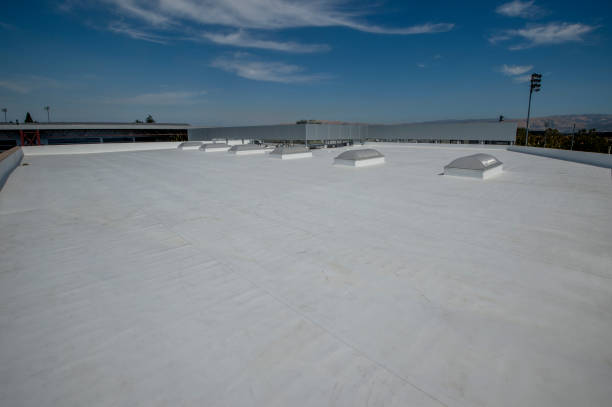 Best Solar Panel Roofing Installation  in Lonville, GA
